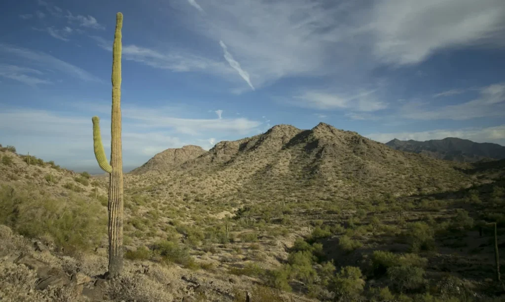Hikes in Phoenix