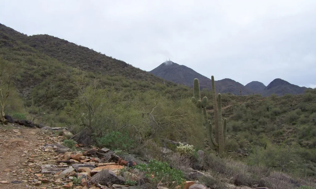 Hikes in Phoenix